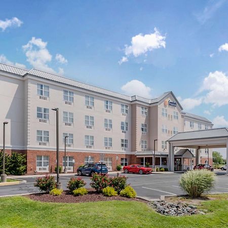 Comfort Inn & Suites Dover Kültér fotó